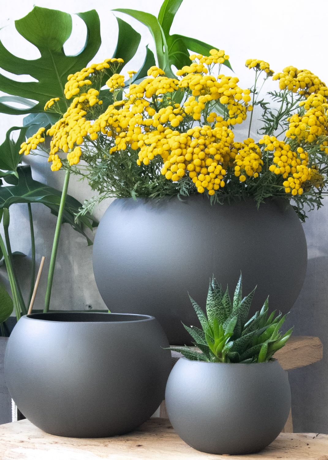 Hej Norge! Nu är vi här!